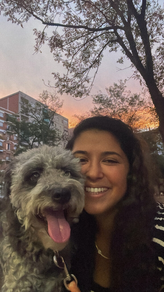 f1511cf4 7351 4112 8fa8 8324229097e7